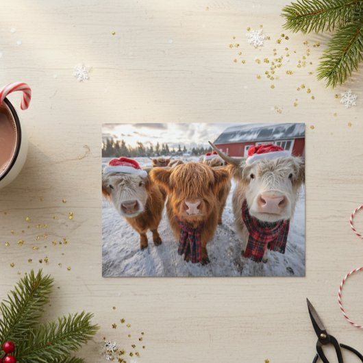 Carte Postale Cute Christmas Highland Cows in Snow