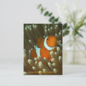 Carte postale Cute Clownfish (Debout devant)