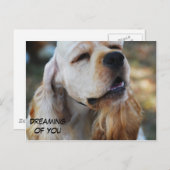 Carte Postale Cute Cocker (Devant / Derrière)