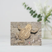 Carte postale Cute Crawling Tot (Debout devant)