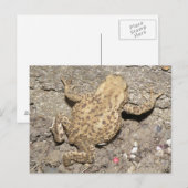 Carte postale Cute Crawling Tot (Devant / Derrière)
