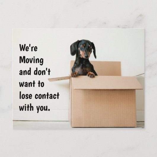 Carte Postale Cute Dachshund Changement d'adresse (Devant)