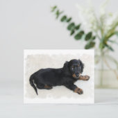 Carte postale Cute Daschund (Debout devant)