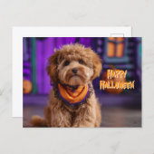 Carte Postale Cute Dog Happy Halloween Haunted House (Devant / Derrière)