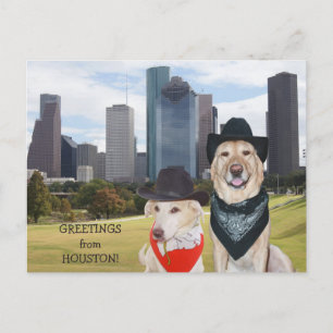 Carte Postale Cute Dogs