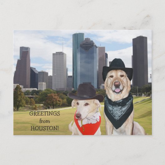 Carte Postale Cute Dogs (Devant)