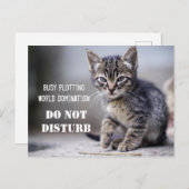 Carte Postale Cute Drôle Kitten Ne Disturbe Pas (Devant / Derrière)