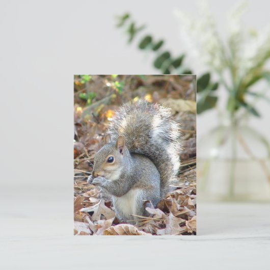 Carte postale Cute écureuil (Debout devant)