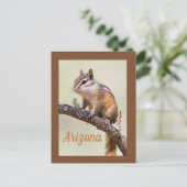 Carte Postale Cute et chubby chipmunk, Arizoina (Debout devant)
