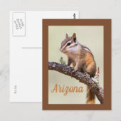 Carte Postale Cute et chubby chipmunk, Arizoina (Devant / Derrière)