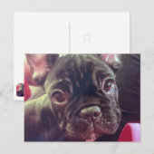 Carte Postale Cute Femme Français Bulldog Brindle Français Brown (Devant / Derrière)