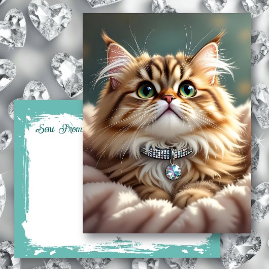 Carte Postale Cute Fluffy Chat | Rester en contact