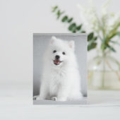 Carte Postale Cute Fluffy Japonais Spitz Puppy (Debout devant)