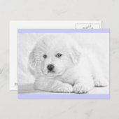 Carte postale Cute Fluffy White Puppy (Devant / Derrière)