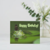Carte Postale Cute frog (Debout devant)