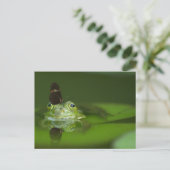 Carte Postale Cute frog (Debout devant)