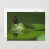 Carte Postale Cute frog (Devant / Derrière)