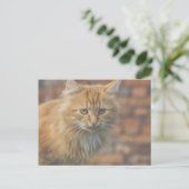 Carte Postale Cute Funky Ginger Chat Kitten Visage (Debout devant)