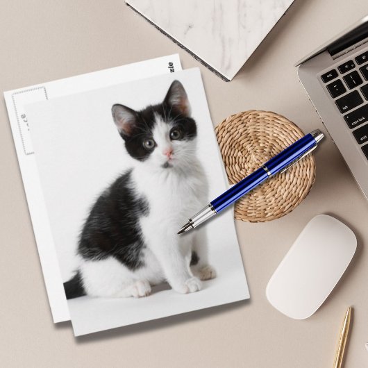 Carte Postale Cute Funny furry kitten black and white cat