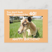 Carte Postale Cute Funny Humour de chèvre sur mesure Anniversair (Devant)