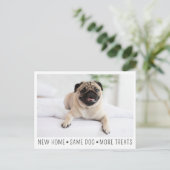 Carte Postale Cute Funny Modern New Home Photo Animal Chien (Debout devant)