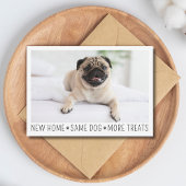 Carte Postale Cute Funny Modern New Home Photo Animal Chien