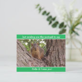 Carte Postale Cute Funny Squirrel Juste dire Bonjour et Mlle Vou (Debout devant)