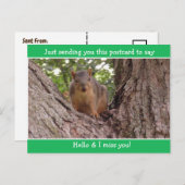 Carte Postale Cute Funny Squirrel Juste dire Bonjour et Mlle Vou (Devant / Derrière)