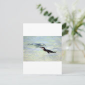 Carte Postale Cute Galapagos pingouin natation (Debout devant)