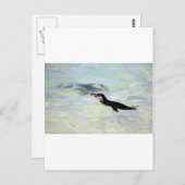 Carte Postale Cute Galapagos pingouin natation (Devant / Derrière)