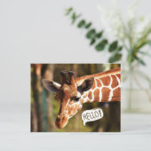 Carte Postale Cute Giraffe Tête Bonjour (Debout devant)