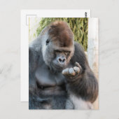 CARTE POSTALE CUTE GORILLA (Devant / Derrière)