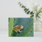 Carte Postale Cute grenouille (Debout devant)