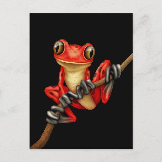 Carte Postale Cute grenouille à arbre rouge sur une branche sur  (Devant)