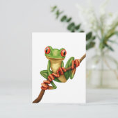 Carte Postale Cute grenouille verte sur une branche sur blanc (Debout devant)