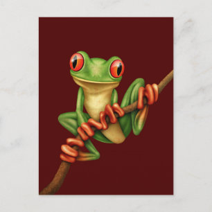 Carte Postale Cute grenouille verte sur une branche sur rouge