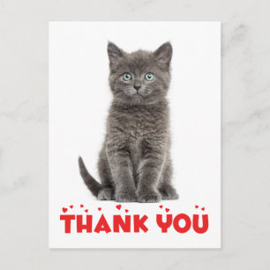 Carte postale Cute Gris Kitten Merci chat