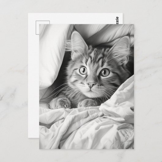 Carte Postale Cute Gris Tabby Chat (Devant / Derrière)