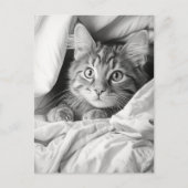 Carte Postale Cute Gris Tabby Chat (Devant)