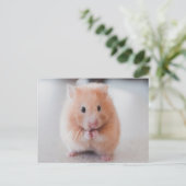 Carte Postale Cute Hamster Aimer Animaux (Debout devant)