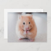 Carte Postale Cute Hamster Aimer Animaux (Devant / Derrière)