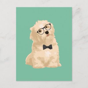Carte Postale Cute Hipster Reddish Havanais Chiot pour Amoureux 