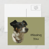 Carte Postale Cute Jack Russell Chien (Devant / Derrière)