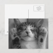 Carte Postale Cute Kitten (Devant / Derrière)