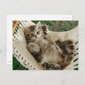 Carte Postale Cute Kitten à Hammock (Devant / Derrière)