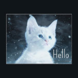 Carte Postale Cute Kitten blanc avec de beaux yeux bleus Bonjour<br><div class="desc">Carte postale avec une photo musicale à thème représentant une image rapprochée des touches de piano. Elégant et élégant.</div>
