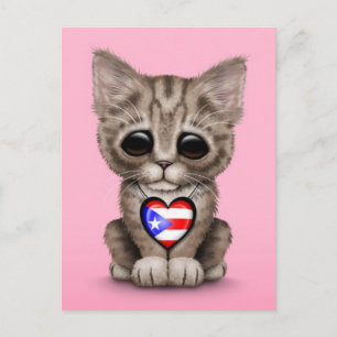 Carte Postale Cute Kitten Chat avec Porto Rico Drapeau Coeur, ro