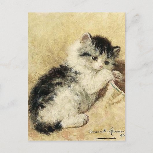 Carte Postale Cute Kitten par Ronner (Devant)