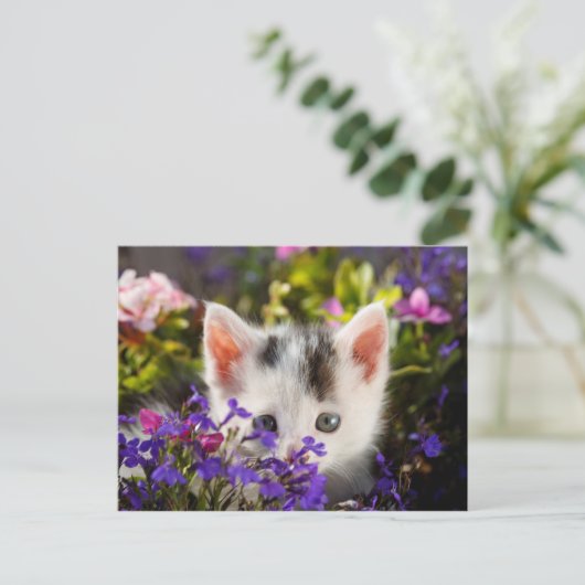 Carte Postale Cute Kitten Spring (Debout devant)