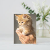 Carte Postale Cute Kitten sur les mains (Debout devant)